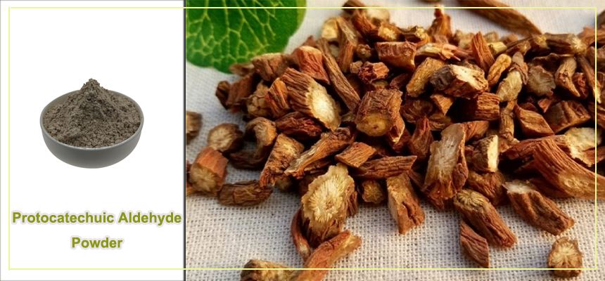 product-1-1 Protocatechuic aldehyde powder