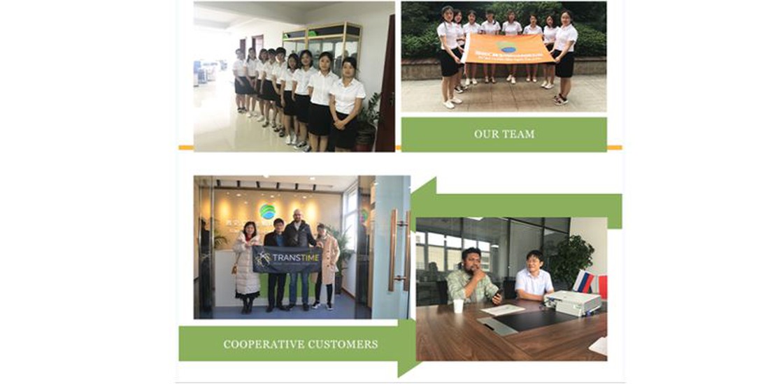 Introduction of Leek Seed Extract Powder Company Introduction of Leek Seed Extract Powder Company