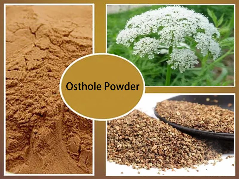 product-1-1 Osthole Powder raw materials