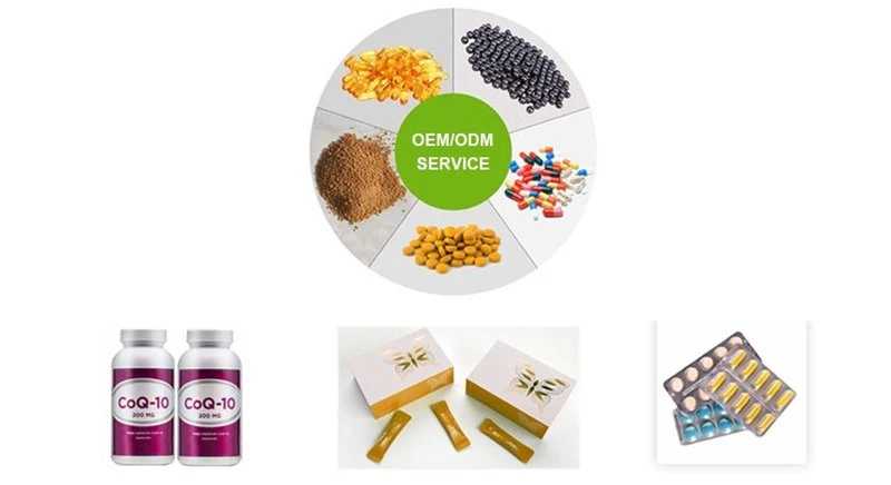Application of semen raphani extract