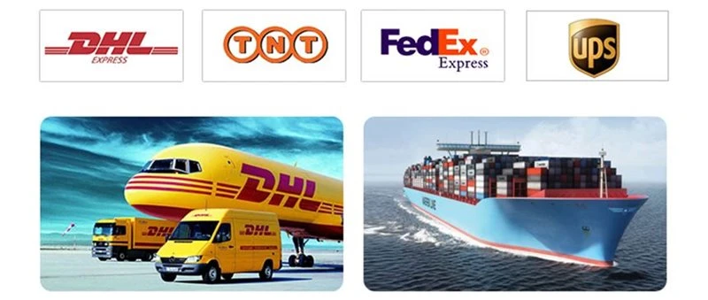 Transportation of semen raphani extract
