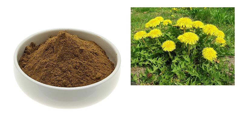 Dandelion root extract Dandelion root extract