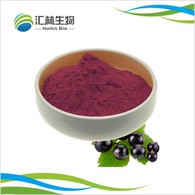 ब्लैक करंट एक्सट्रैक्ट पाउडर