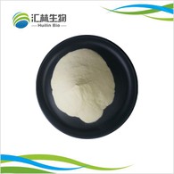 ज़ैंथन गम पाउडर